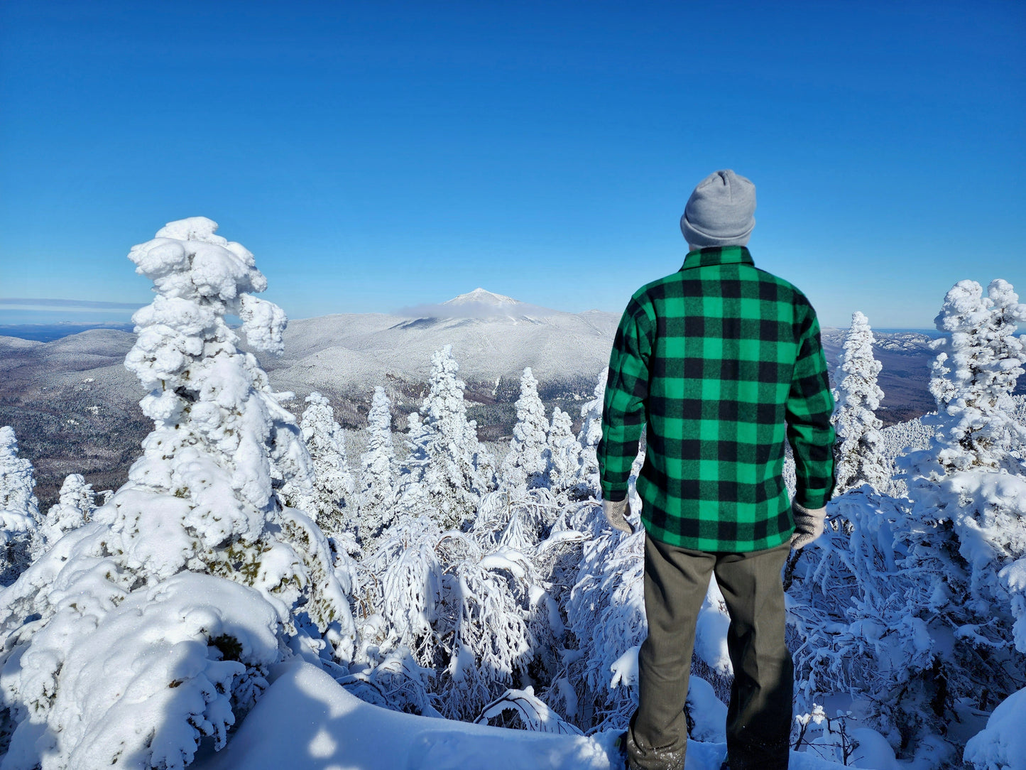 Long tail wool button down shirt