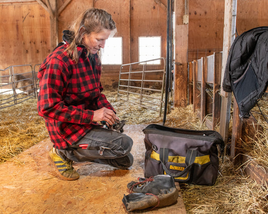 Vol. 5 - A Good Clip: Vermont Sheep Shearing with Gwen Hinman