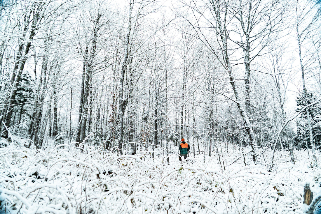 Vol. 2 - Northwoods in Jackman: A Maine Deer Camp Story