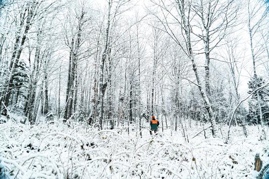 Vol. 2 - Northwoods in Jackman: A Maine Deer Camp Story