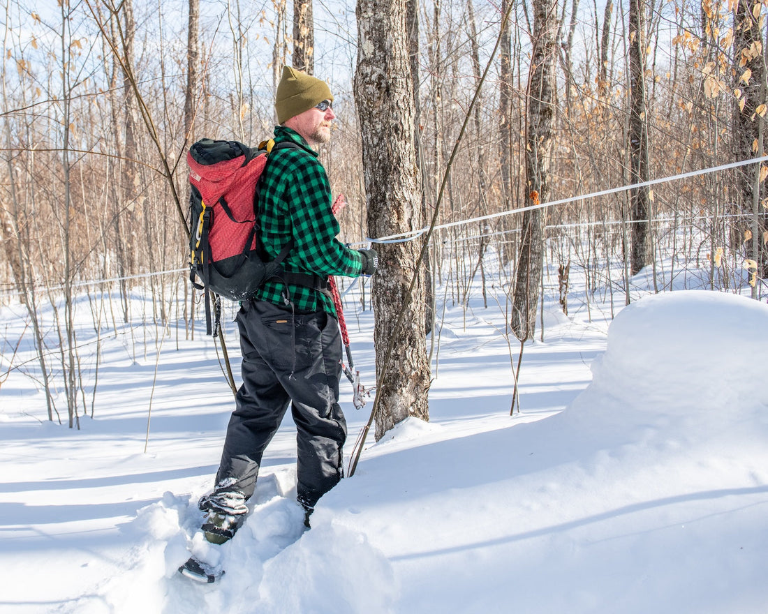 Vol. 3 - One Click Wilder: Tapping into the Kingdom's Sugaring Legacy