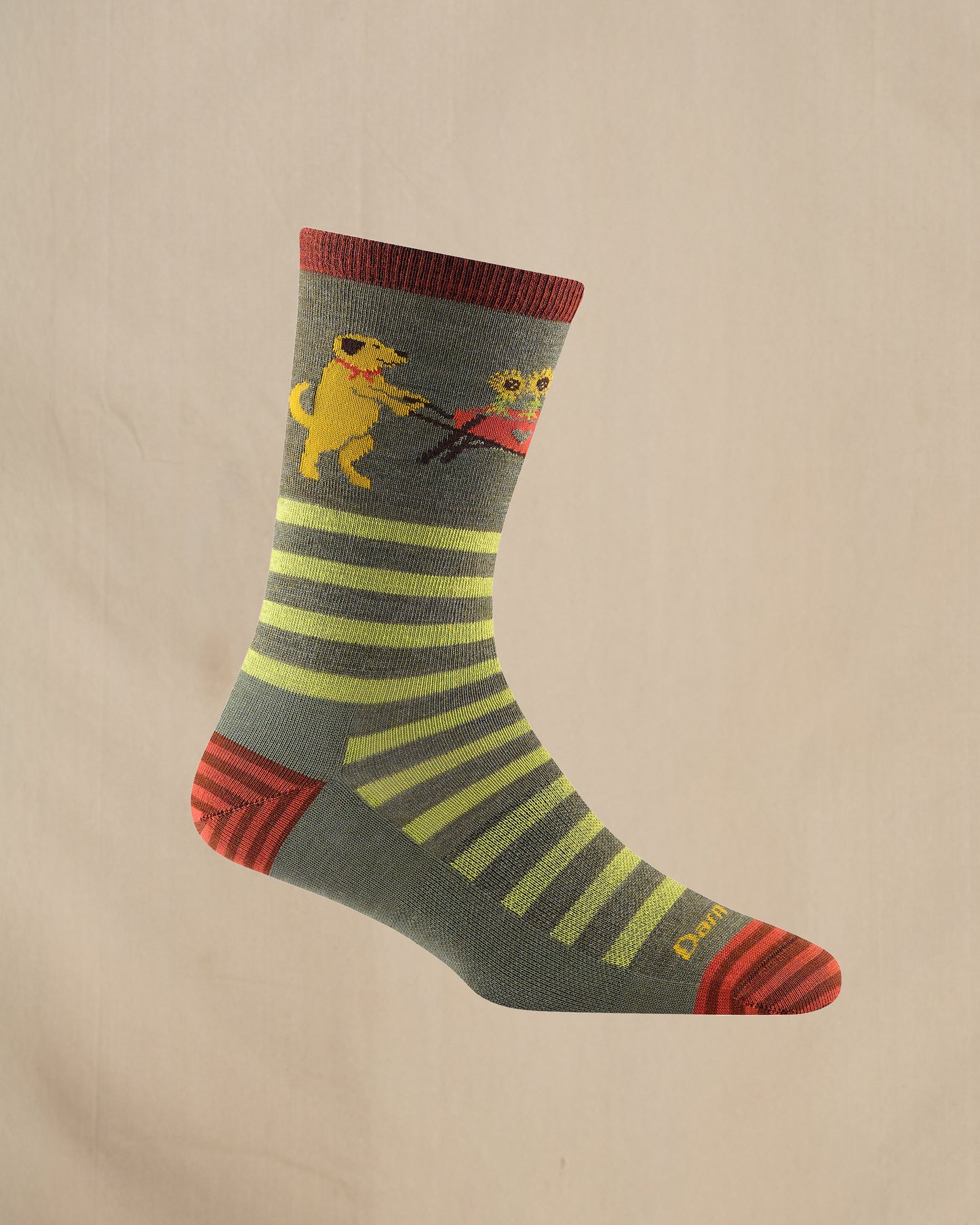 Women's Darn Tough 6037 sock in Herb alternate picture