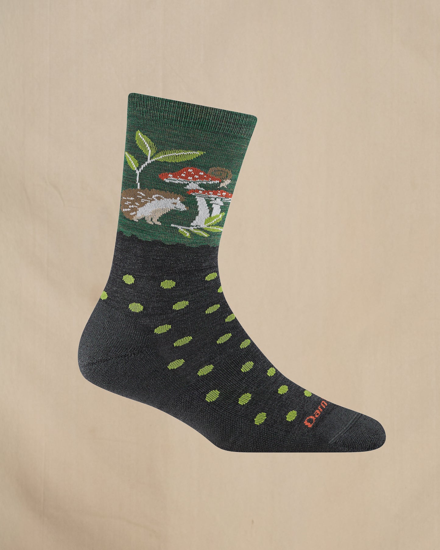 Darn tough women's 6105 Moss socks