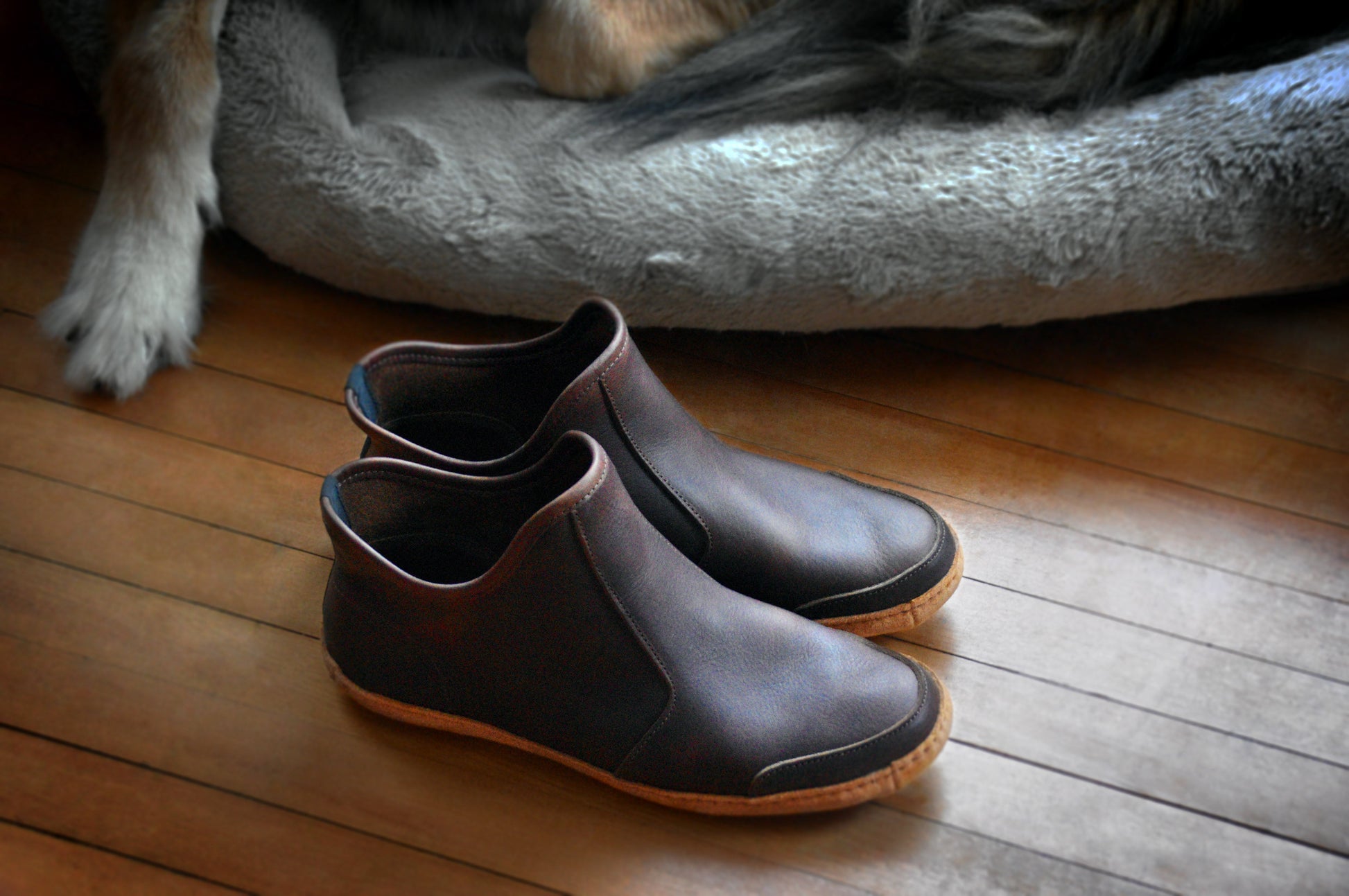 Vermont House Shoes - Hi-Top - Chocolate laying by dog