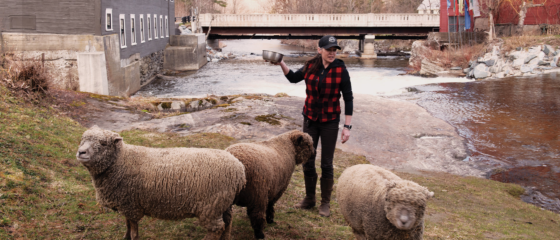 Woman in a red and black plaid vest with three sheep by the Johnson river