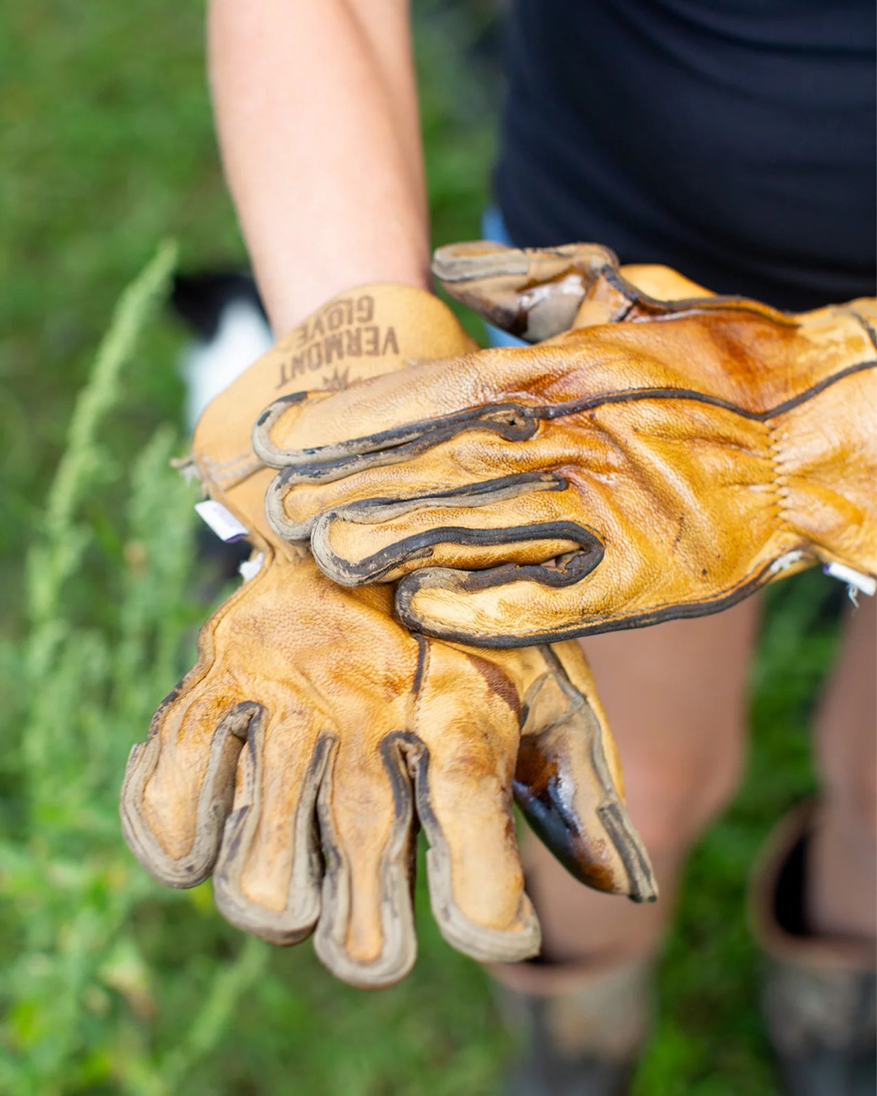 leather gloves with glove conditioner