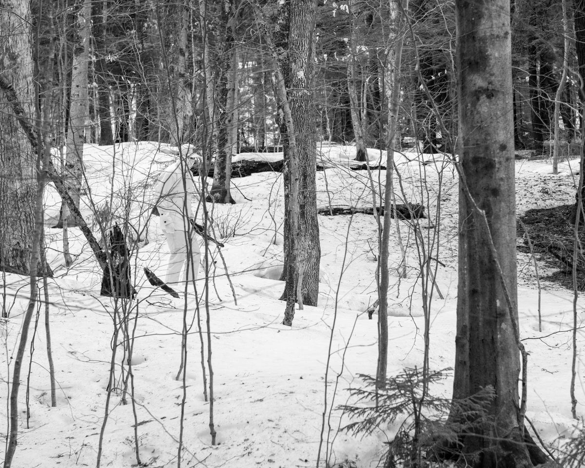 100% wool white-out tracker in the woods