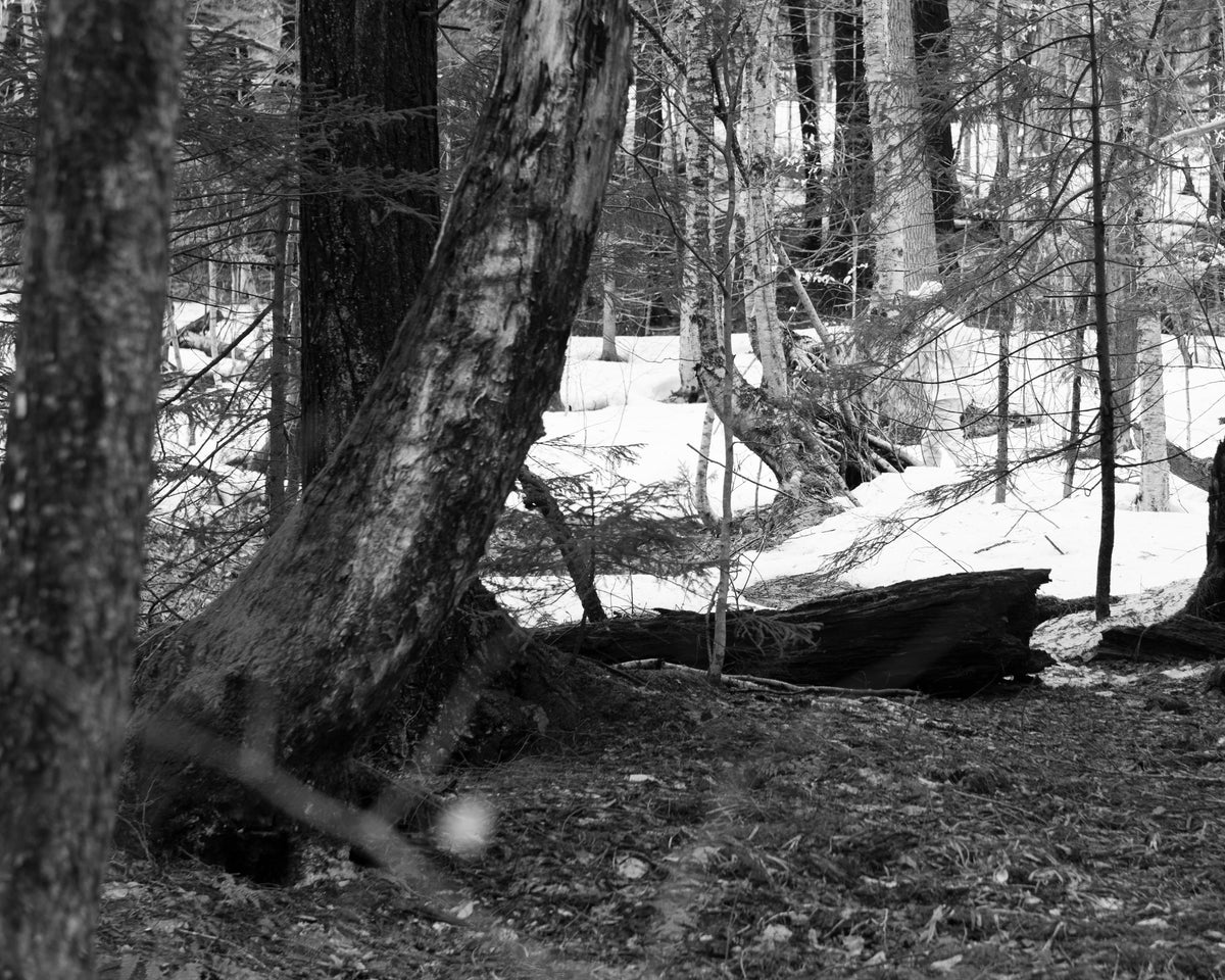 100% wool white-out tracker in the woods