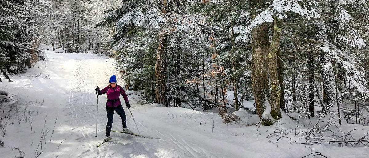 A person cross-country skiing on a snowy path through a forest of snow-covered pine trees.