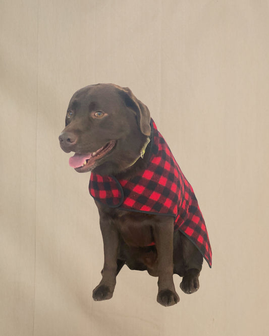 Dog wearing a red and black checkered coat on a beige background