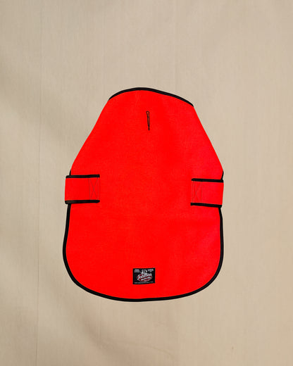 Blaze orange wool dog coat with black trim on a beige background